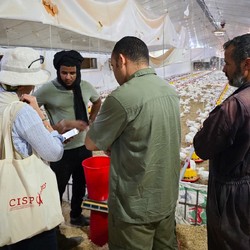 Intervention multisectorielle pour soutenir l’éducation incl ... Image 6