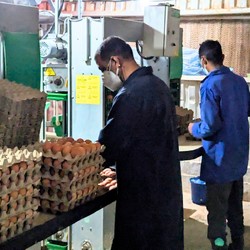 Educazione inclusiva, igiene e sicurezza alimentare Immagine 8