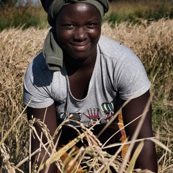 Sicurezza alimentare in Malawi Immagine 10