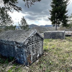 Roots of the Future – ROOF Image 15