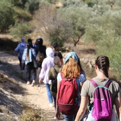 In Palestine the Walk &amp; Talk initiative lets youth gather an ... Image 1