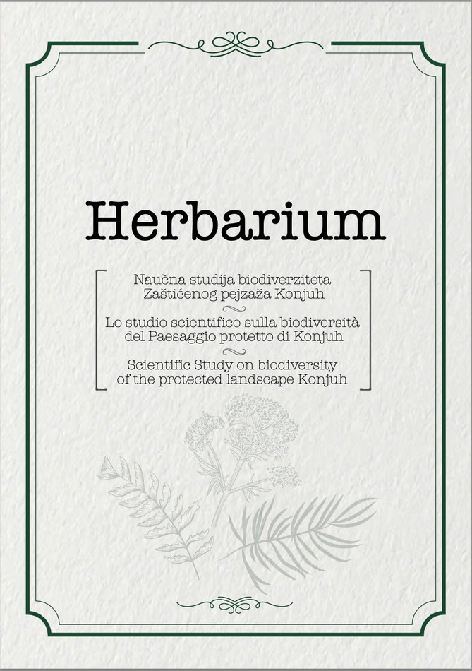 Herbarium Immagine 1