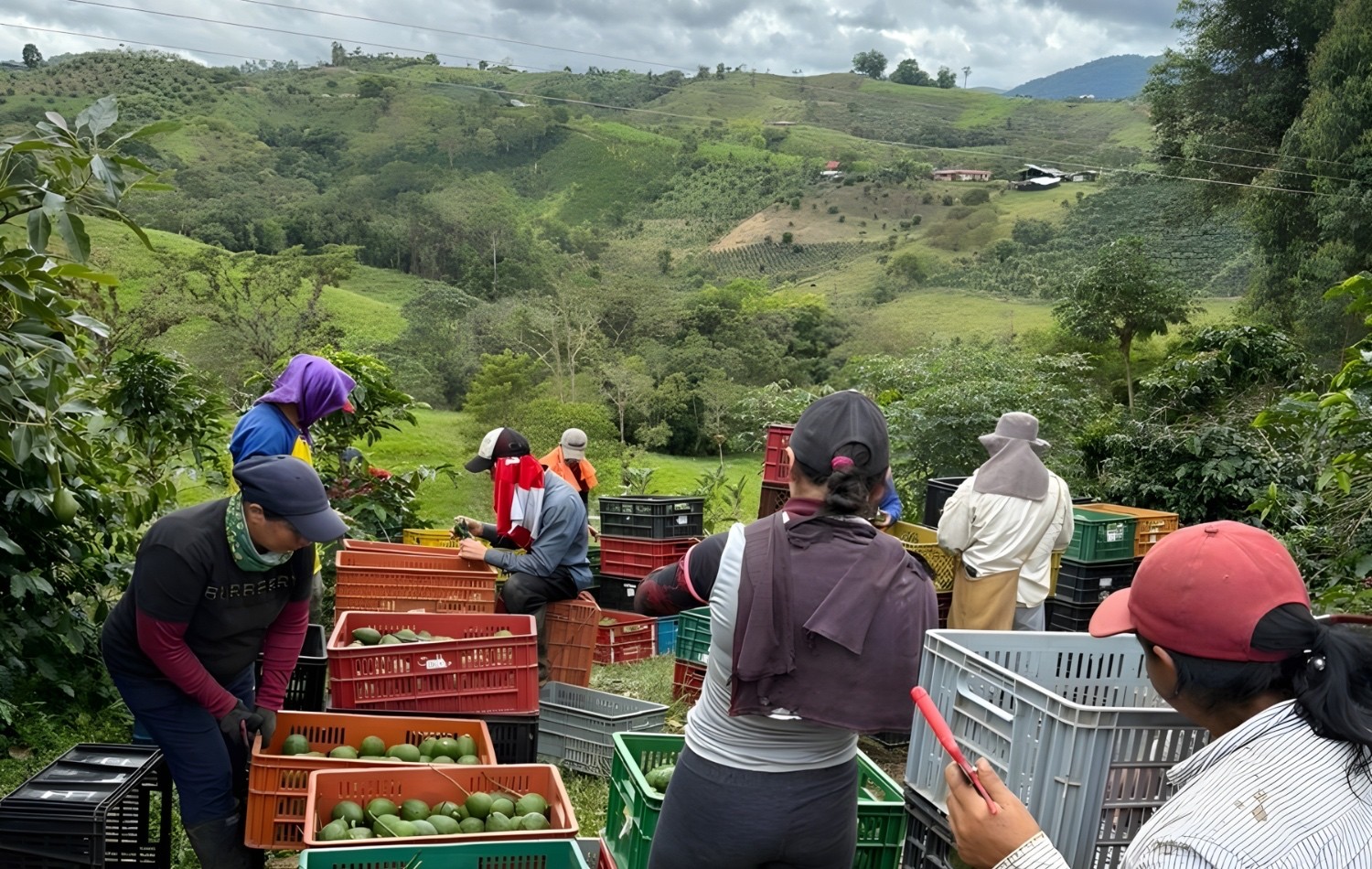 Agrocadenas: Promoting Italy-Colombia Territorial Development at Macfrut 2026