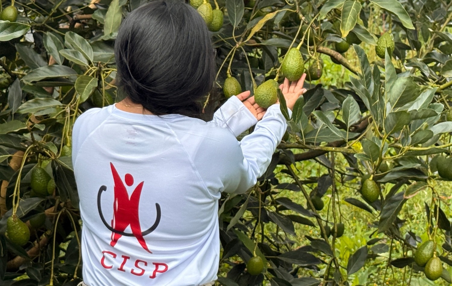 Le CISP en Colombie : l’identité territoriale comme moteur de la réforme agraire