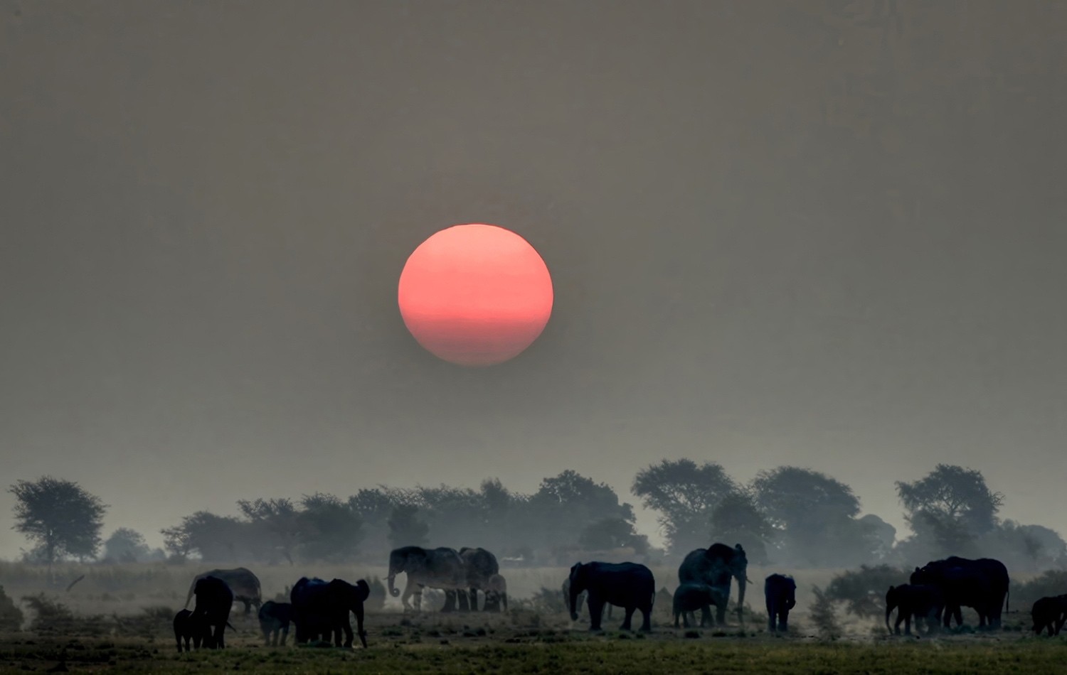 Wild Routes: a Roma la mostra fotografica di Claudio Viezzoli a sostegno del nostro lavoro in Ecuador