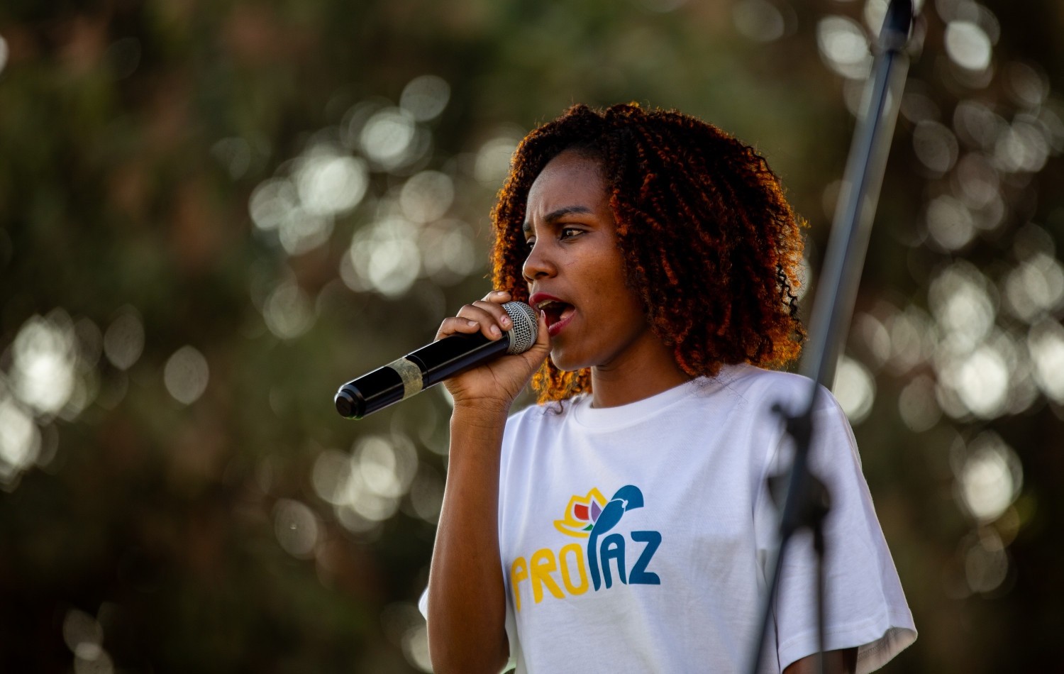 ROADSHOW – Art and Culture for Peace and Reconciliation in Mozambique